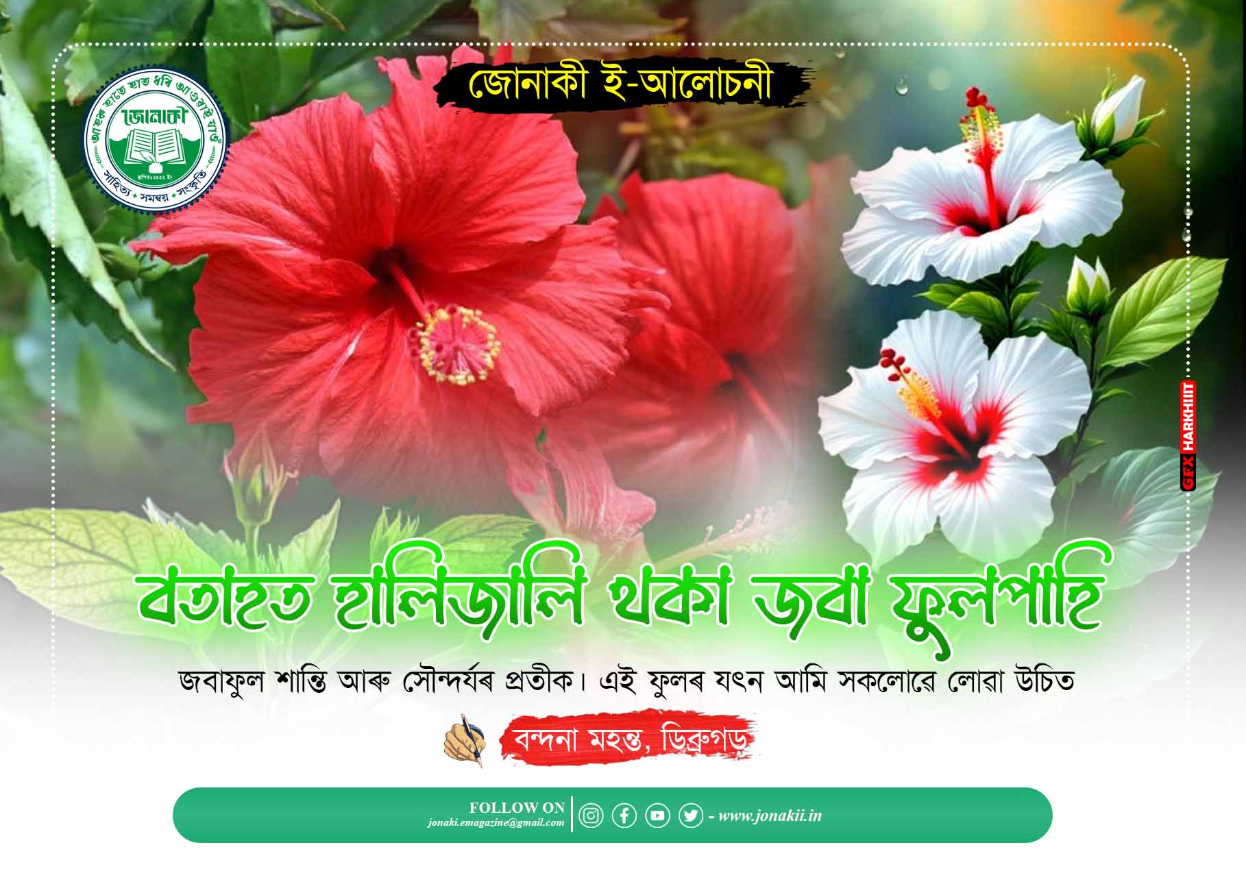 বতাহত হালিজালি থকা জবা ফুলপাহি : বন্দনা মহন্ত